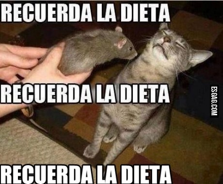 Se fuerte gatito, tu puedes