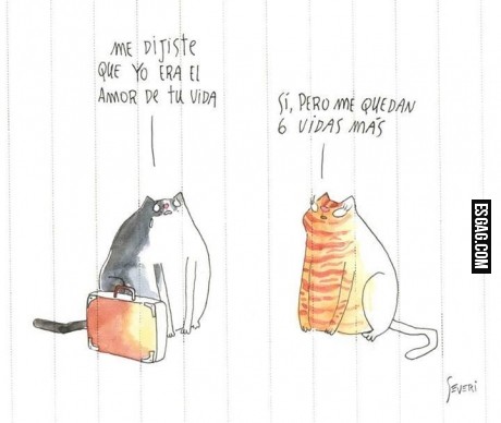 Respuestas inteligentes