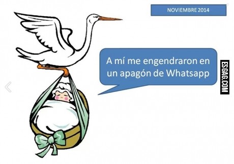 Me engendraron cuando se cayo Whasapp