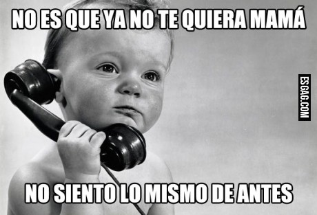 Siempre repiten lo que escuchan
