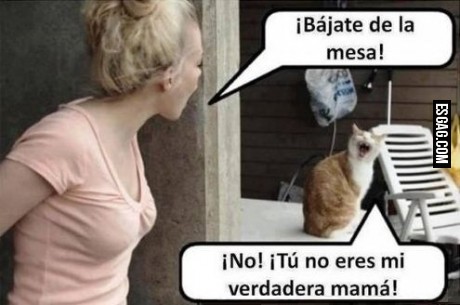 Respuestas que van directo al corazón