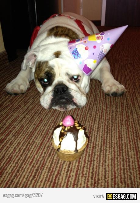 Que chiquita la torta...