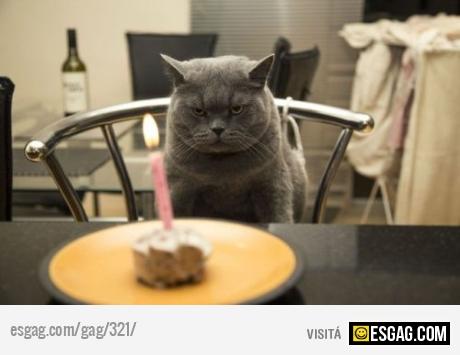 Es la &uacute;ltima vez que me festejan el cumplea&ntilde;os!