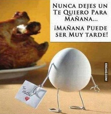 Mañana puede ser un pollo! ehhh digo... tarde