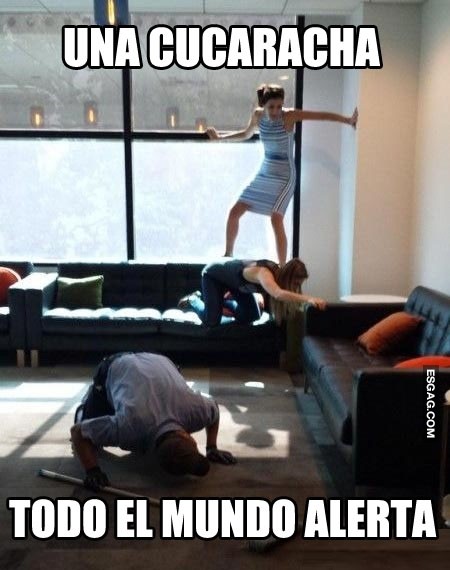 Alerta máxima!