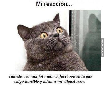 Saquen eso de ahí!!!