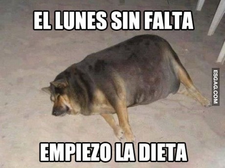 Si o si... esto no da para mas