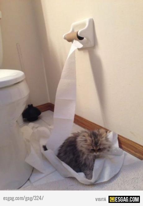 Llegas al ba&ntilde;o y ves esto!