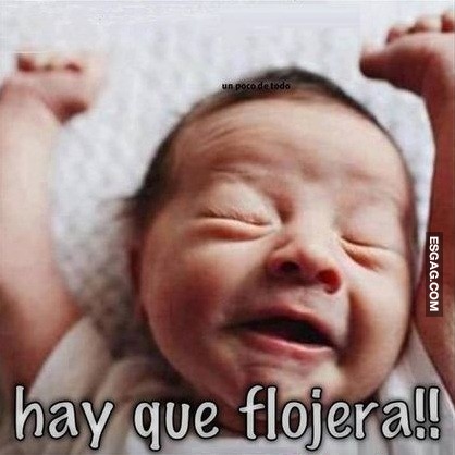 Ay... qué flojera hoy