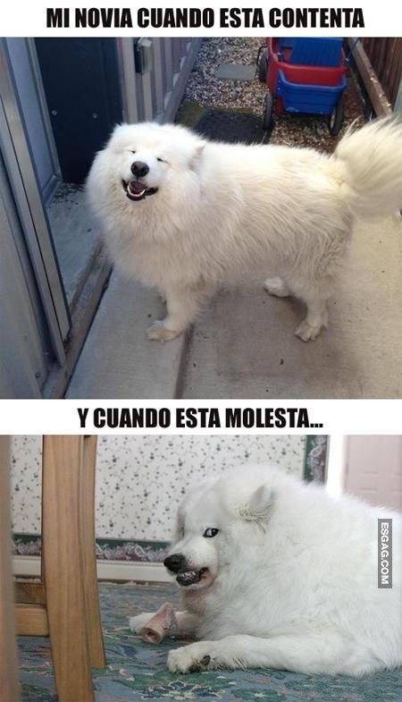 Cambios de humor de tu novia