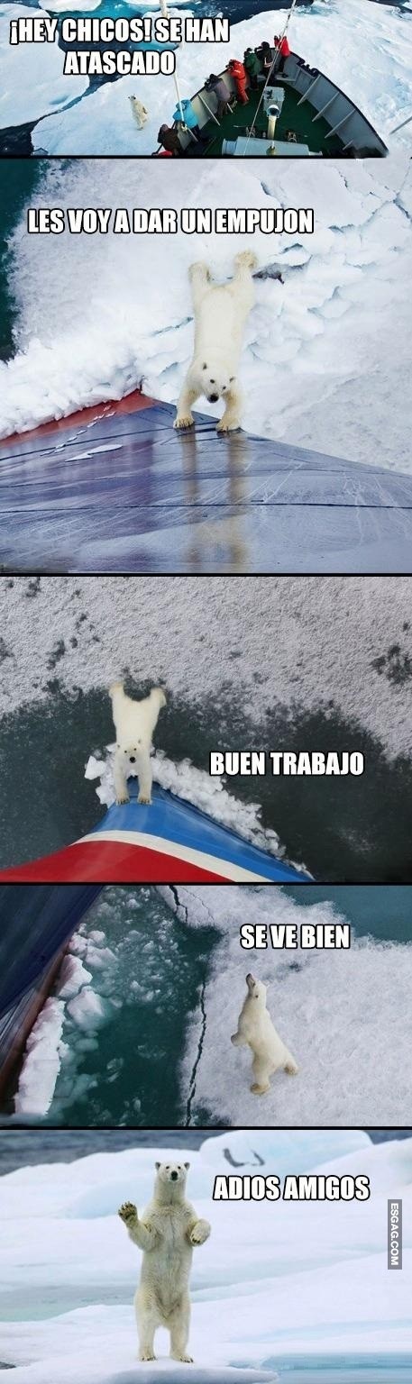 Un placer conocerte...
