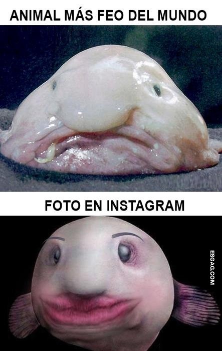 La magia de Instagram y sus filtros