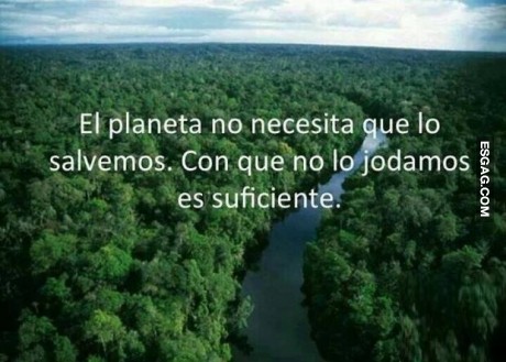 Enseñanza del día