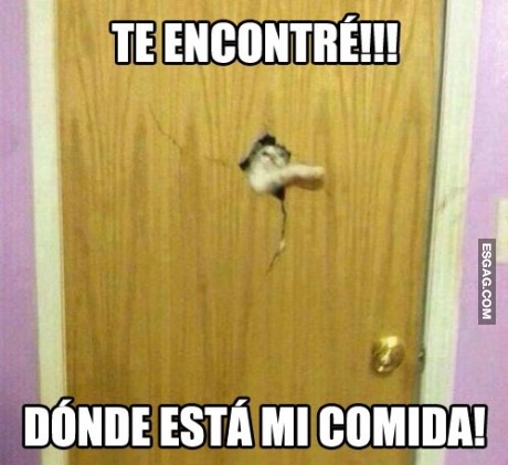 El que busca encuentra