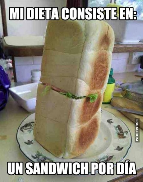 Dieta 100% efectiva