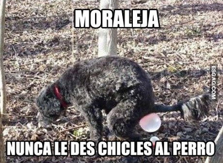 Aprendizaje del día