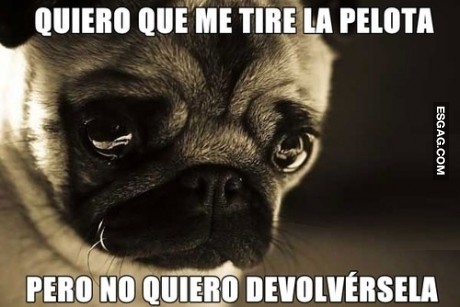Qué problema... no???