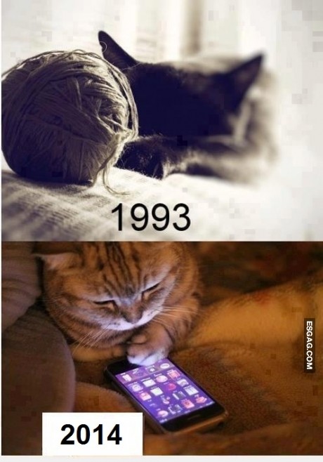Los gatos también se actualizan