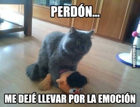 Emmm... te lo puedo explicar