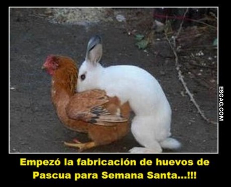 Comenzó la fabricación...