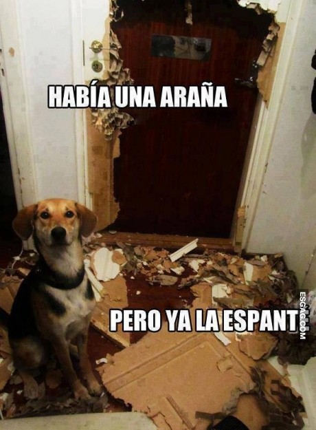 Hubiera preferido que no me rompas todo