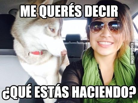 Al perro que no le gustaban las selfies