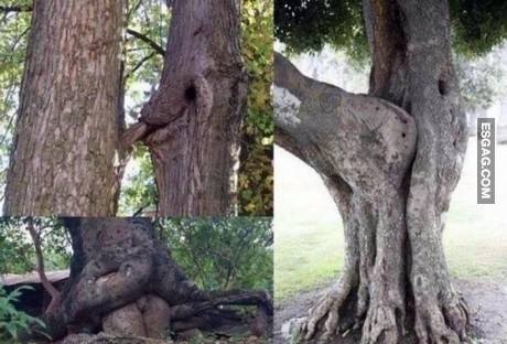 Naturaleza al 100%