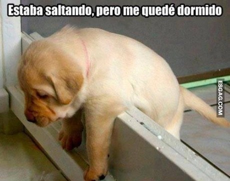 Lo intenté pero... me quedé dormido