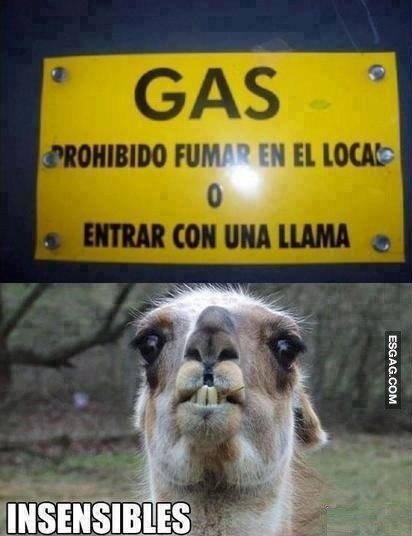 La llama ofendida