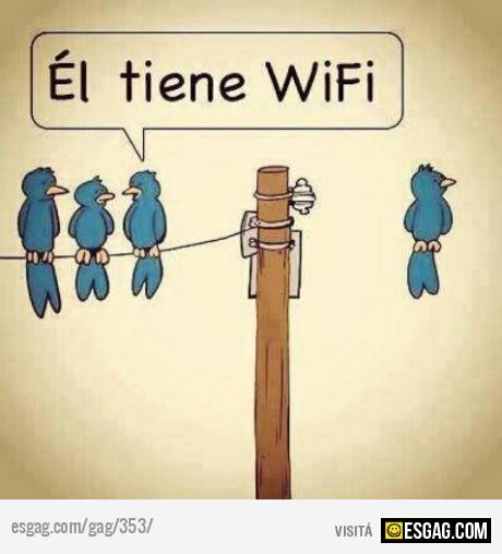Pajarito con Wifi