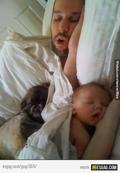 Que lindo sería despertarlos!