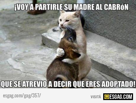 Eso no se hace!