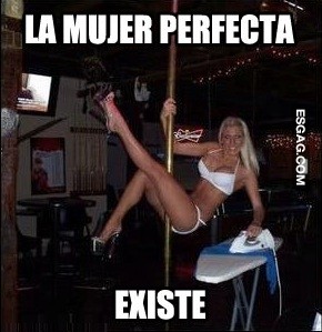 La mujer perfecta