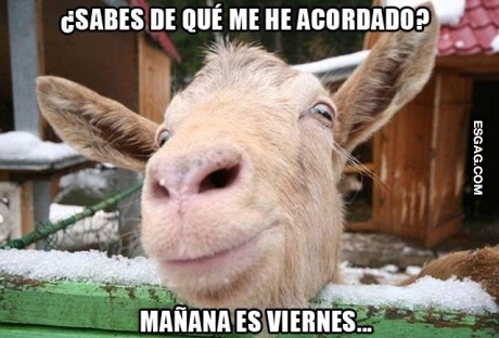 Mañana es viernes?