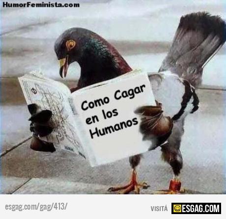 Por eso tienen tanta punteria!