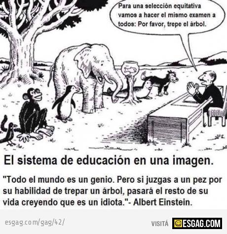 El sistema de educacion