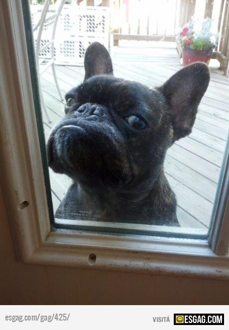 Te estoy viendo! alg&uacute;n dia vas a tener que salir...