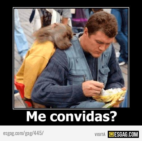 Te lo vas a comer todo solo?