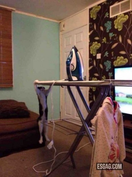 Hora de hacer gimnasia