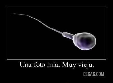 Una foto mía, muy vieja
