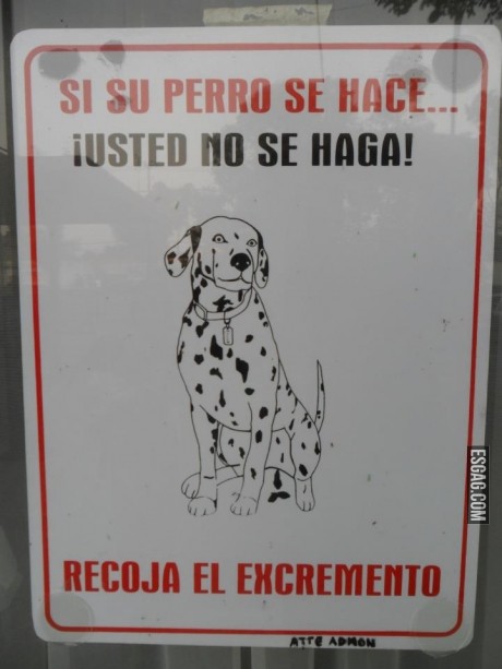 Si su perro se hace...