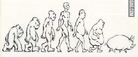 La verdadera evolucion del hombre