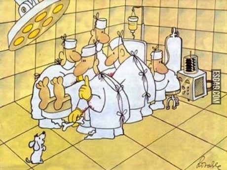 Este huesito es para ti...