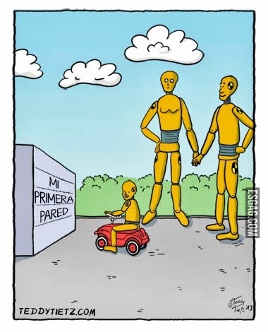 Mi primera pared