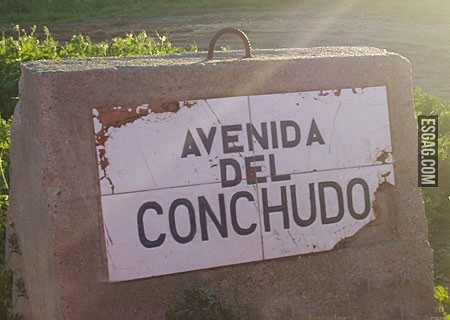 Es tu avenida?