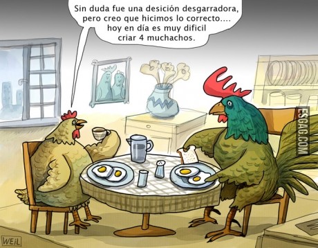 Charla familiar en el gallinero