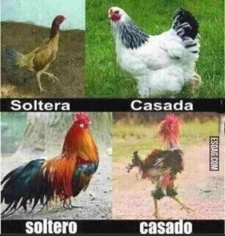 Diferencias entre solteros y casados