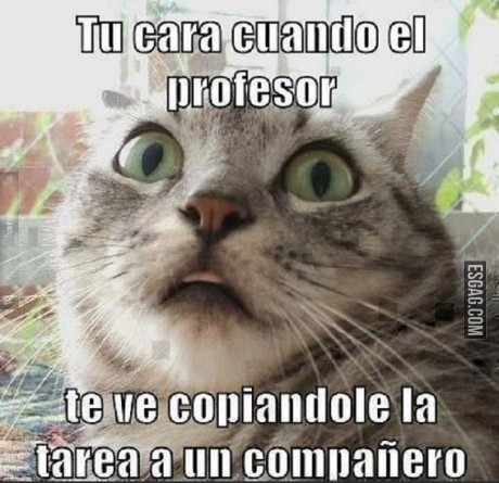 Tu cara cuando te encuentran copiando