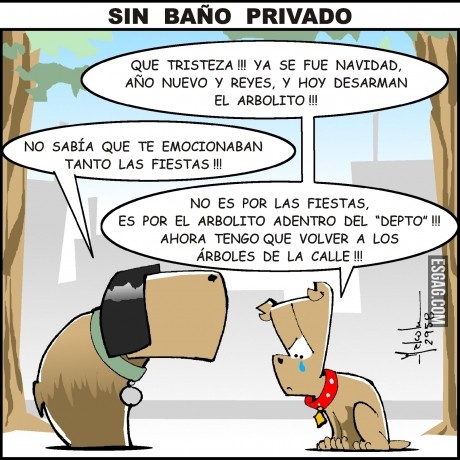 Sin baño privado (chiste grafico)