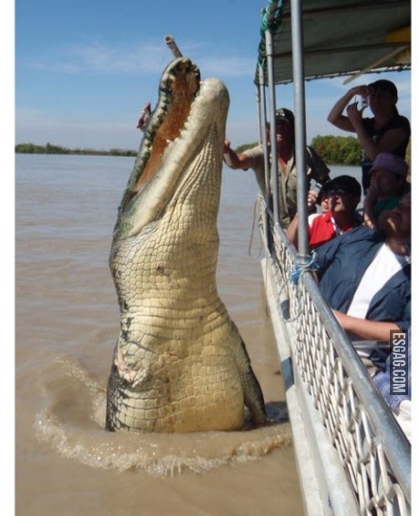 Paseando por el río cuando de repente...